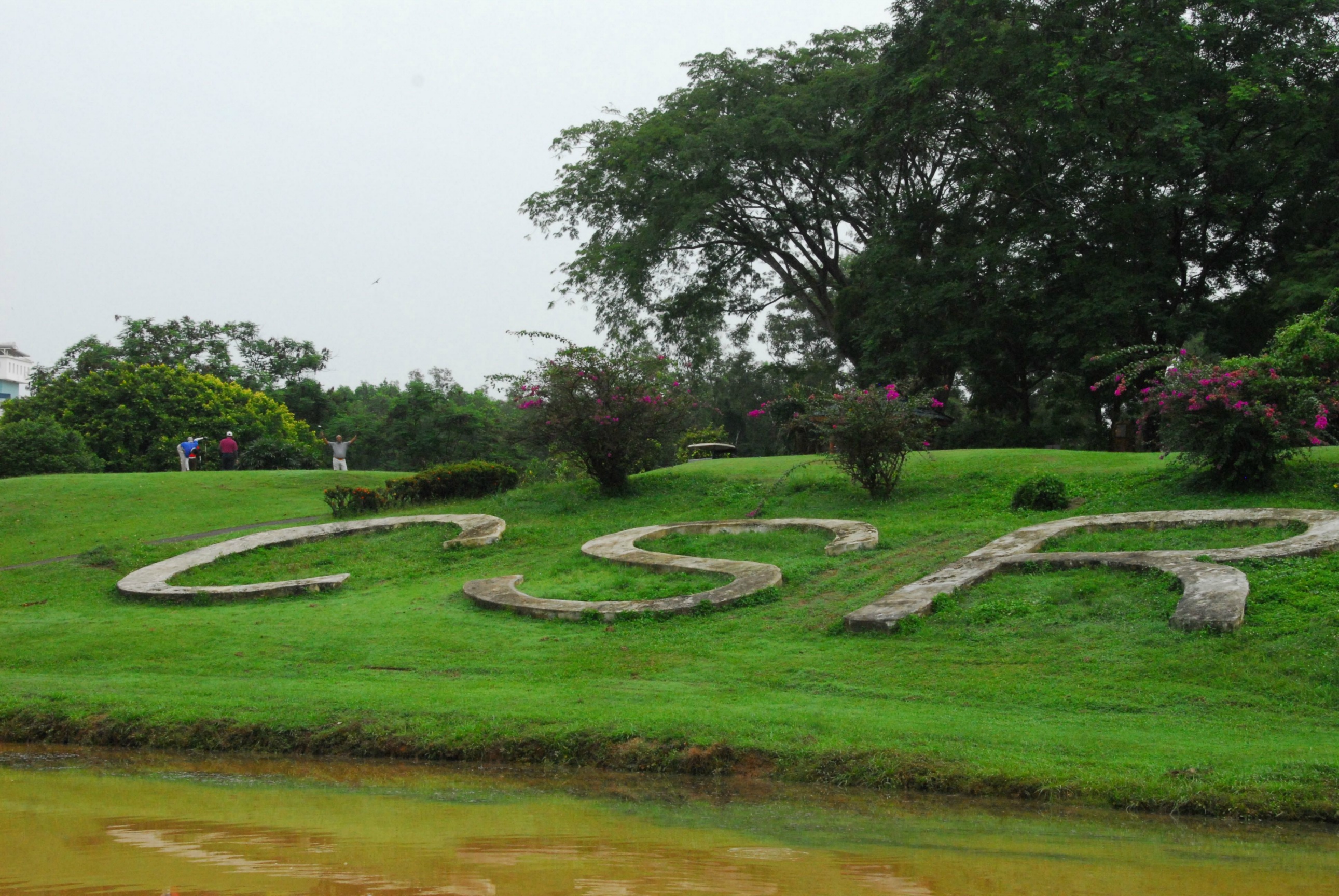 PRO15 157 GOLF DSC 0167.JPG